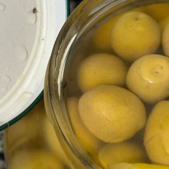 Zeytin Kavanozunda İstenmeyen Misafirler