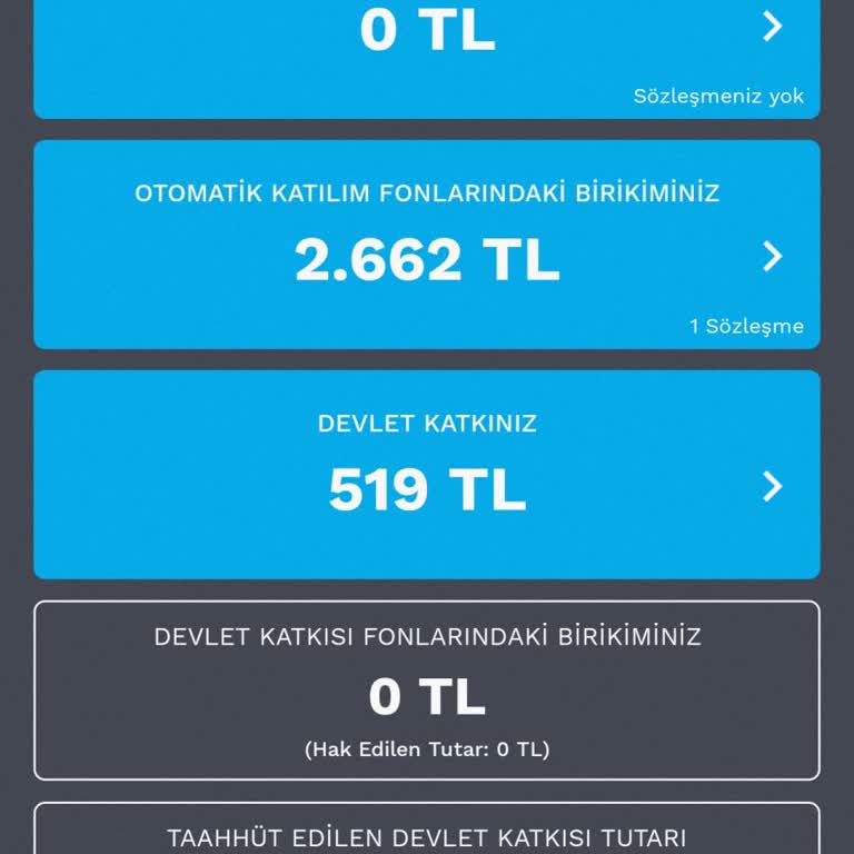 Anadolu Hayat Emeklilik BES Ödemesinde Beklenmedik Düşüş