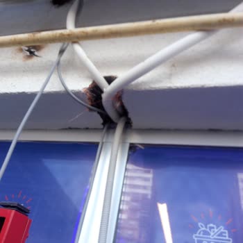 Montaj Sorunu Ve İlgisizlik