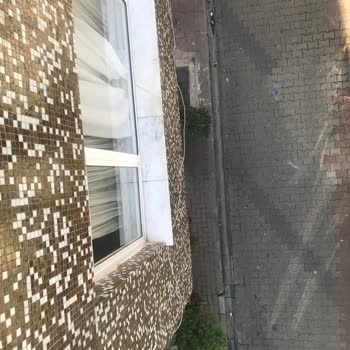 Mahalledeki Asma Ağacı Ve Kaldırım Sorunları
