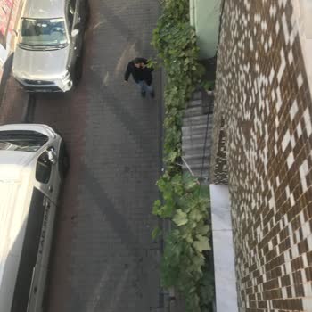 Mahalledeki Asma Ağacı Ve Kaldırım Sorunları