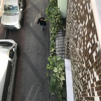 Mahalledeki Asma Ağacı Ve Kaldırım Sorunları