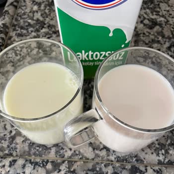 Laktozsuz Sütte Renk Değişikliği Sorunu