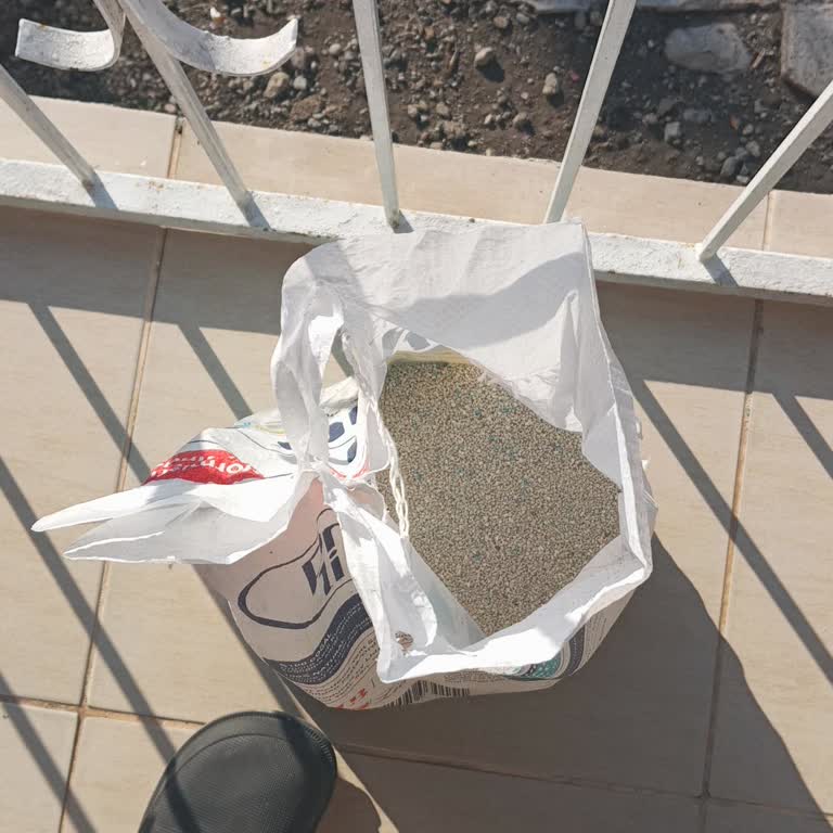 Zonguldak Kuzey Pazarlama Kusurlu Kedi Kumu Ve Çözüm Eksikliği