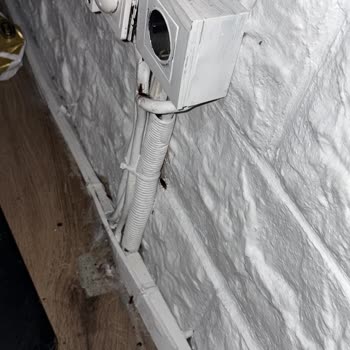 Eğlence Mekanında Böcek Şoku