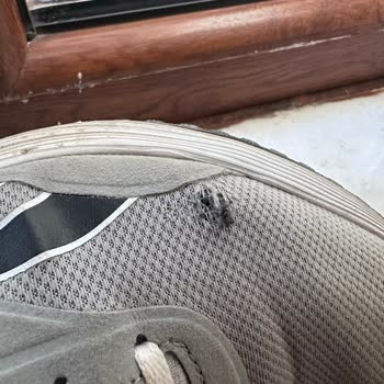 Reebok Sneakers Showed Quick Wear and No Response on Return Request