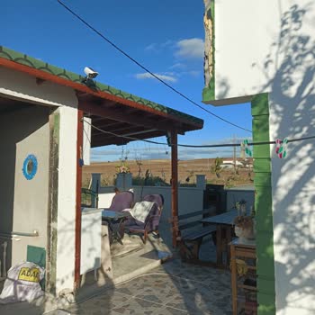 Filli Boya Mantolama Ve Garanti Sorunu