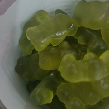 Vita Bear Mağduriyeti