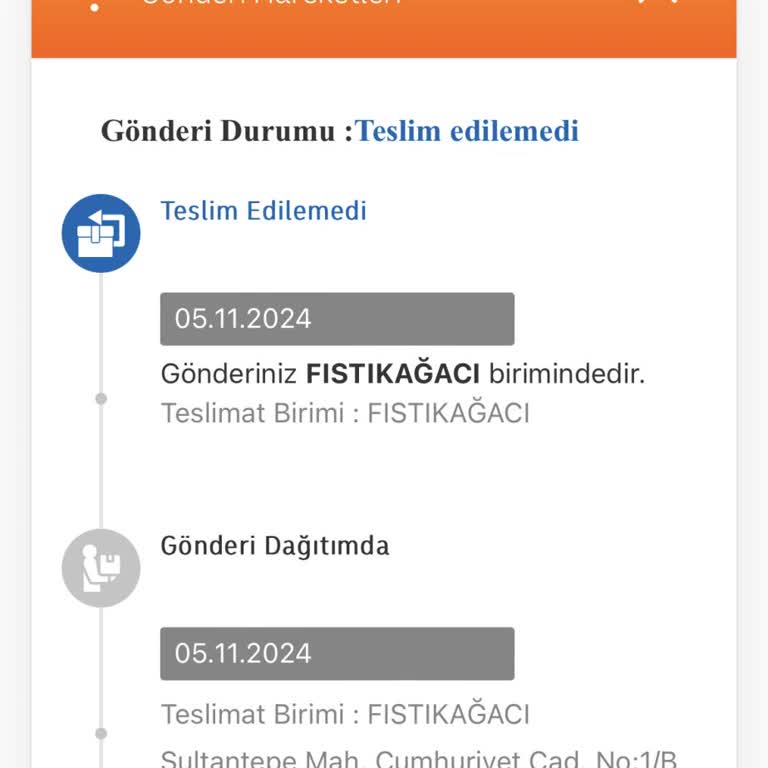 Sürekli Teslim Edilemeyen Kargolar