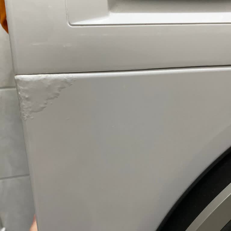 Bosch Çamaşır Makinesi Hayal Kırıklığı: Paslanma Sorunu