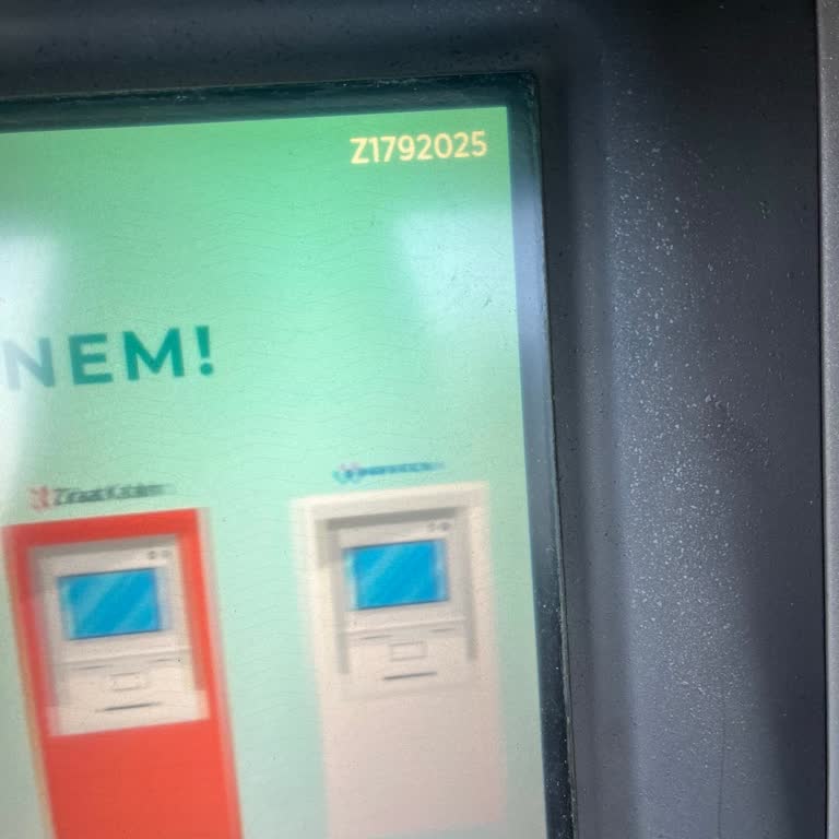 Devlet Bankasında Para Yatırma Kabusu