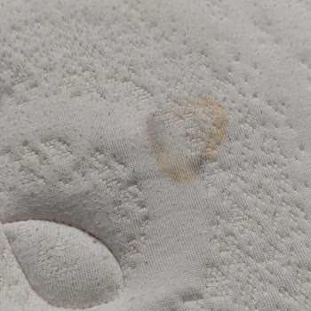 Lova Yatakta Tekrarlayan Sararma Sorunu