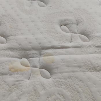 Lova Yatakta Tekrarlayan Sararma Sorunu