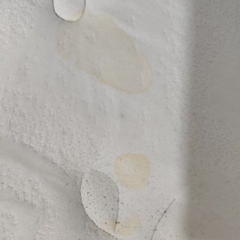 Lova Yatakta Tekrarlayan Sararma Sorunu