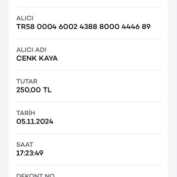 Yatırım Sonrası Hesaba Geçmeyen Para Sorunu