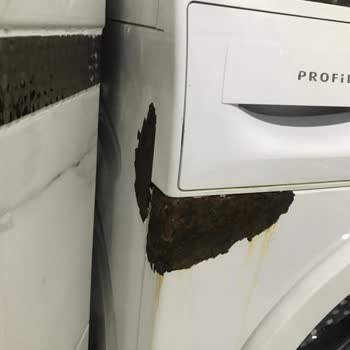 Profilo Çamaşır Makinesiyle Süregelen Sorunlar