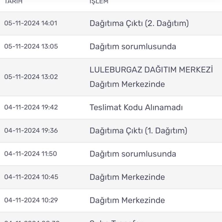 Tatil Planlarını Altüst Eden Kargo Sorunu