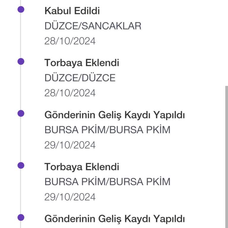 PTT Kargo Teslimatında 8 Günlük Gecikme Mağduriyeti