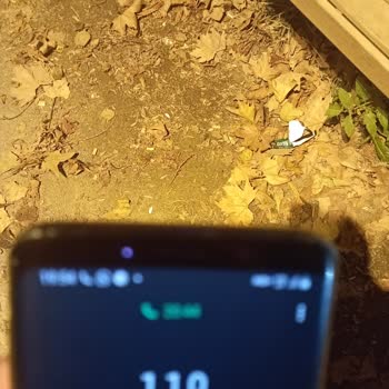 Turkcell Hattı Açma Sorunu Ve Yetersiz Müşteri Hizmeti