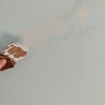 Yanlış Renk Boya Ve İade Sorunu