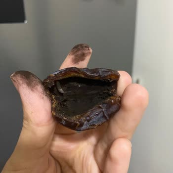 Tadım Hurmanın İçindeki Şaşırtıcı Siyahlık