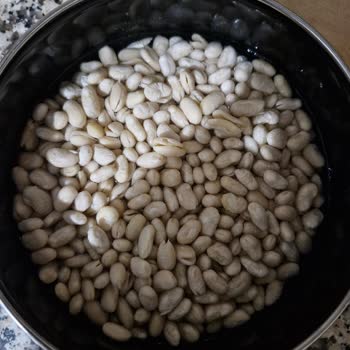 Fasulyeler Suda İkiye Ayrıldı