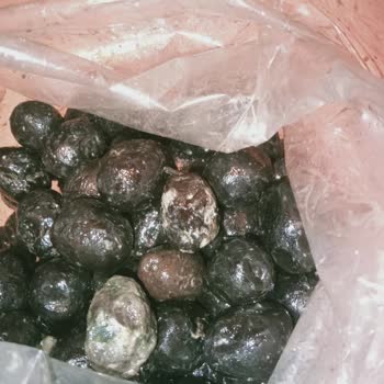 Küflü Zeytin Ve İlgisiz Müşteri Hizmetleri