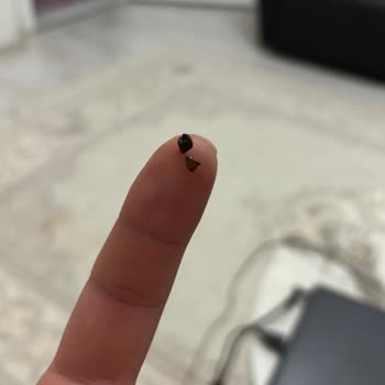 Kahve Paketinde Yabancı Madde Şoku