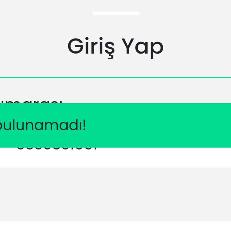 Giriş Sorunu Ve Destek Eksikliği
