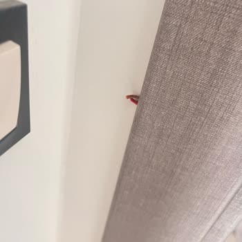 TOKİ Gülderen Konutlarında Eksik Ve Kusurlu Teslimat