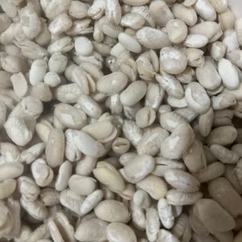 Migros Kuru Fasulye Kalitesizliği: Param Çöpe Gitti!
