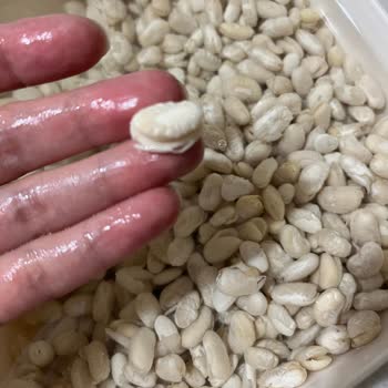 Migros Kuru Fasulye Kalitesizliği: Param Çöpe Gitti!