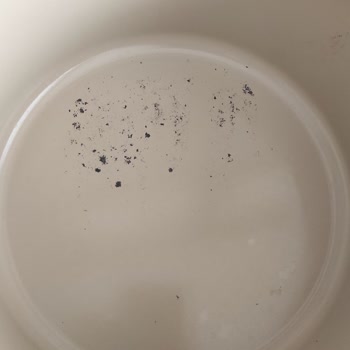 Neoflam Tencere Seti: Beklenmedik Kalite Sorunları