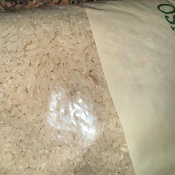 Kooperatif Marketten Alınan Pirinçte Kurtlanma Sorunu