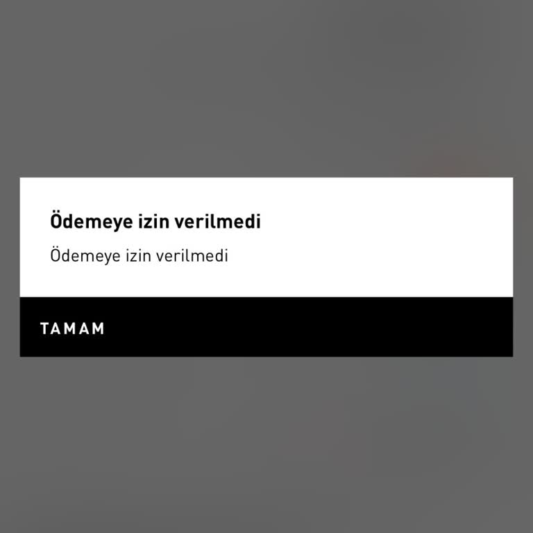 Adidas Ödeme Hatası Alışverişi Engelliyor