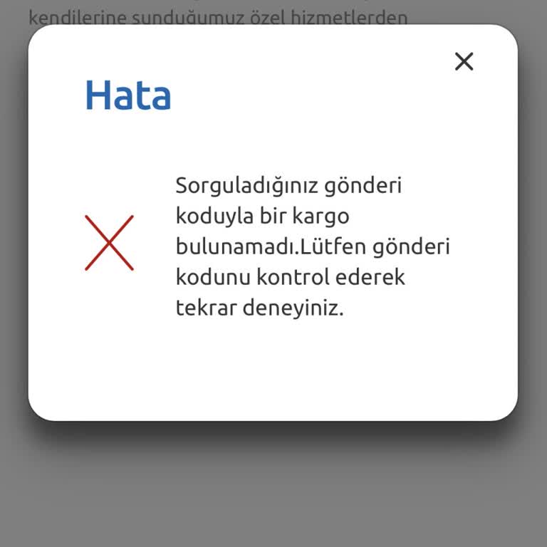 Kargo Takip Numarası Çalışmıyor: Alışveriş Sonrası Sorun