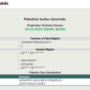 UPS Kargo Teslimat Sorunu: Oto Koltuğu Bekleyişi
