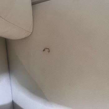 Doğtaş Mobilya'dan Alınan Koltuklarda Kurulum Ve Kumaş Sorunu