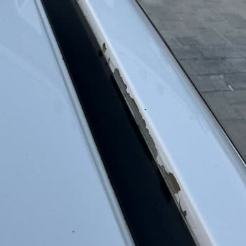 Honda Civic İle Yaşanan Garanti Ve Boya Sorunları