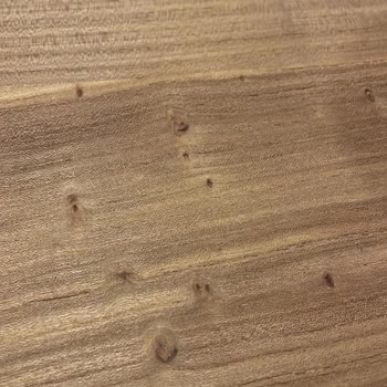Zara'dan Aldığım Konsol Böcekli Çıktı, Değişim Talebim Reddedildi