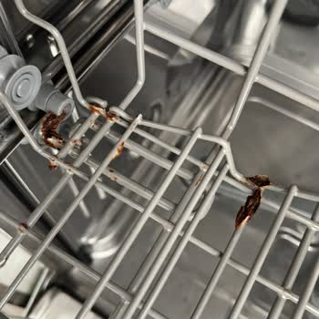 Franke Dominox Bulaşık Makinesinde Paslanma Sorunu