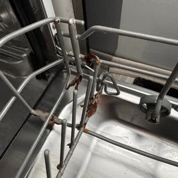 Franke Dominox Bulaşık Makinesinde Paslanma Sorunu