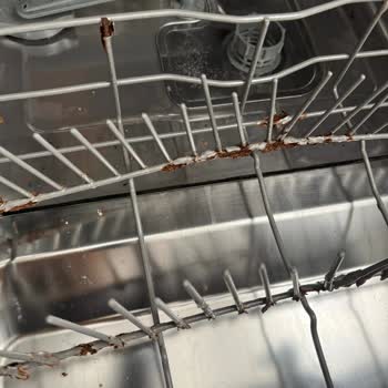 Franke Dominox Bulaşık Makinesinde Paslanma Sorunu