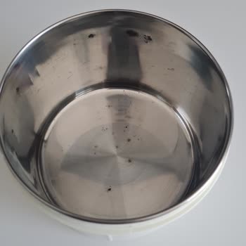 Penguen Termosun Paslanma Sorunu Ve İlgisizlik