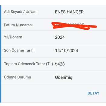 Fatura Şoku: Doğalgaz Kullanmadım, 1000 TL Geldi!