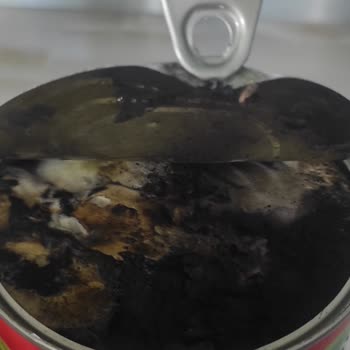 Tarihi Geçmemiş Salça Skandalı