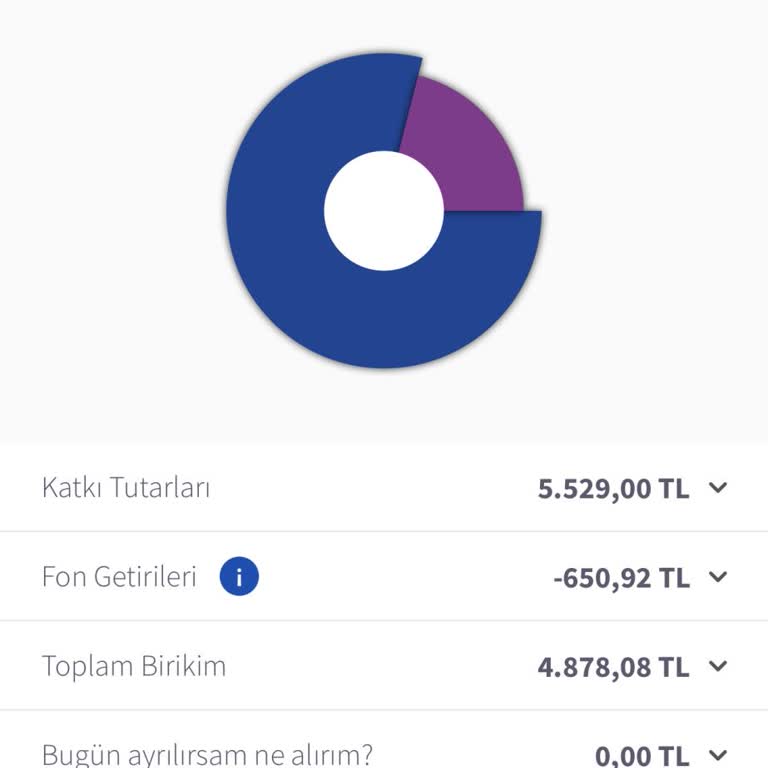 BES Yatırımlarında Hayal Kırıklığı Ve Gizli Kesintiler