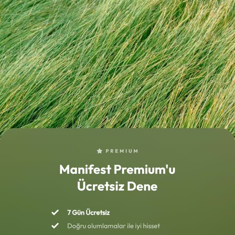 Manifest: Günlük Olumlama Geri Ödeme Talebi