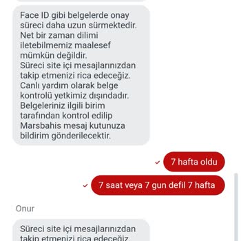 Belge Onayı Beklerken 7 Haftalık Sabır Testi