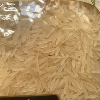 Böcekli Pirinç Skandalı: İnsan Sağlığı Tehlikede!